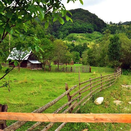 Pensiunea Valea Pinului Rau Sadului Экстерьер фото