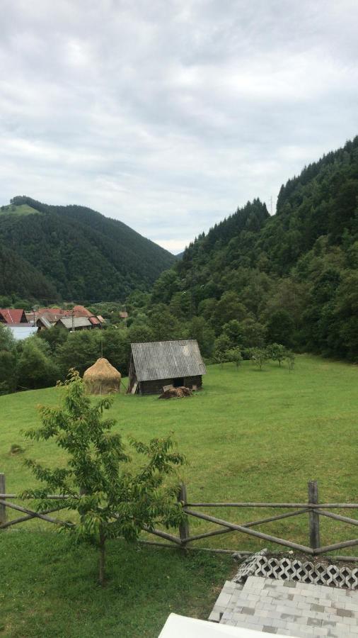 Pensiunea Valea Pinului Rau Sadului Экстерьер фото