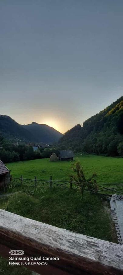 Pensiunea Valea Pinului Rau Sadului Экстерьер фото