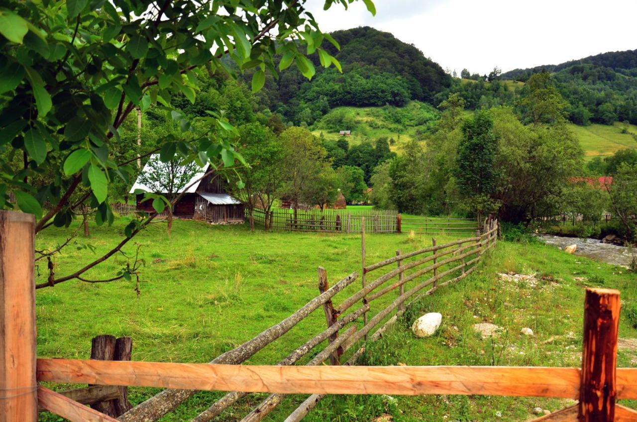 Pensiunea Valea Pinului Rau Sadului Экстерьер фото