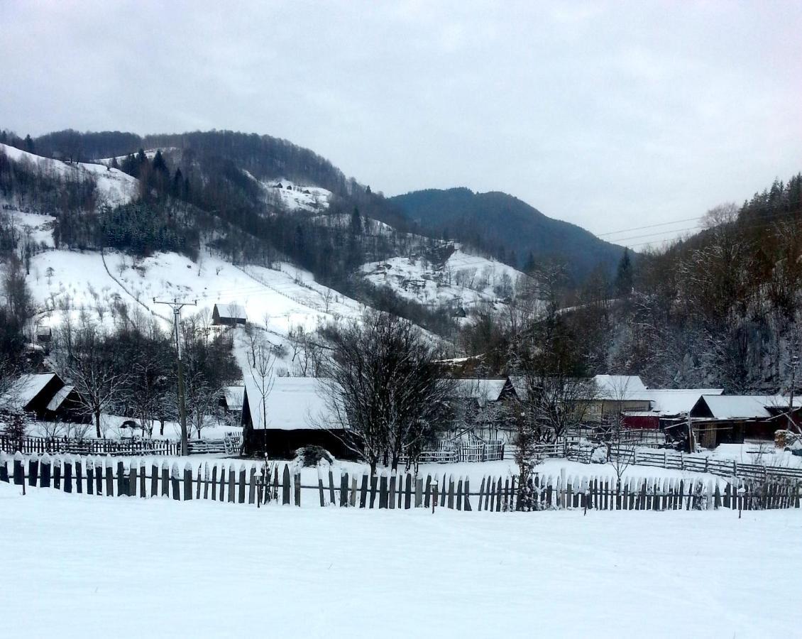 Pensiunea Valea Pinului Rau Sadului Экстерьер фото